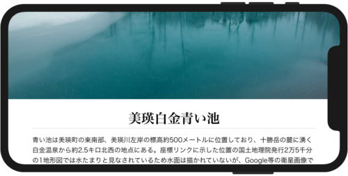 iPhone X表示例